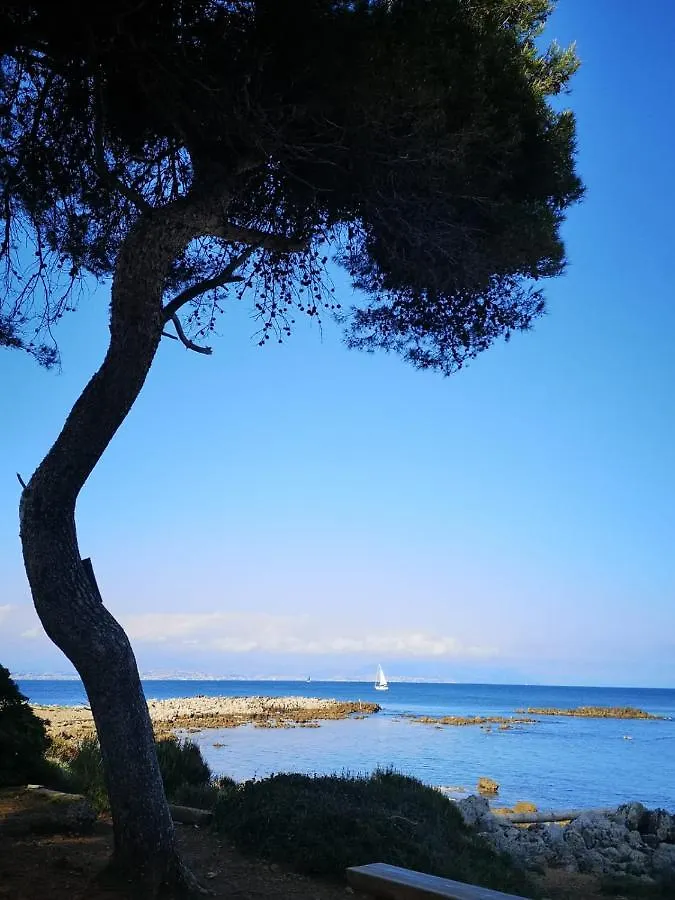 5 Min To Sea And Palais Des Festivals Apartment Cannes France